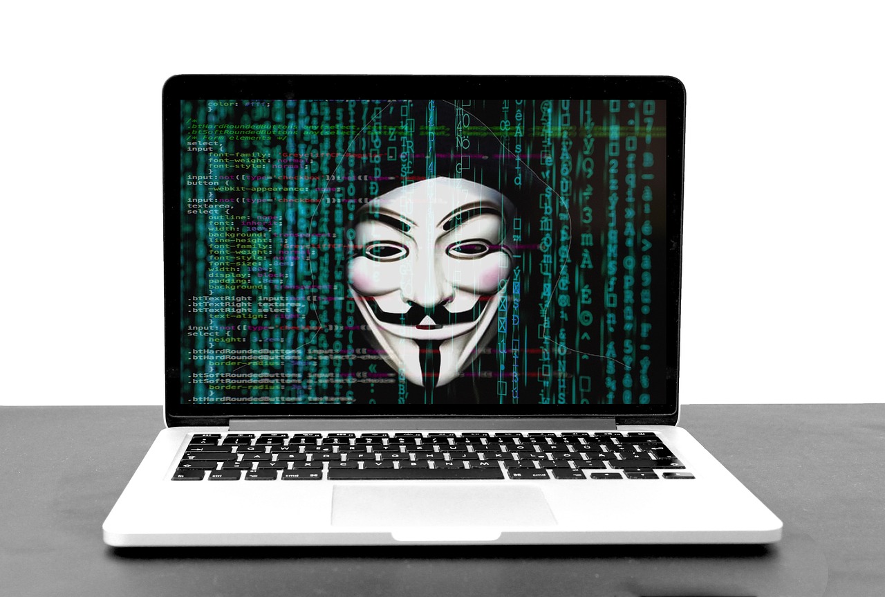 Imagine simbolică: fraudă online / securitate